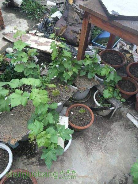 QQͼƬ20150527105741.jpg