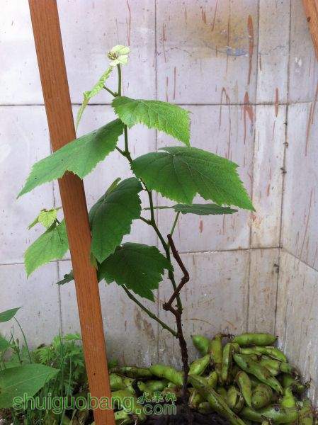 2015-05-24 133458.jpg