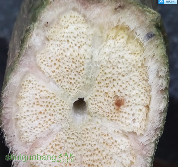 QQ��ͼ20150528151248.png