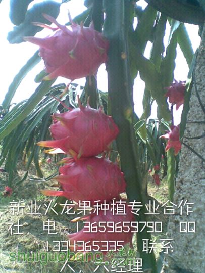 IMG_20150510_180329.jpg