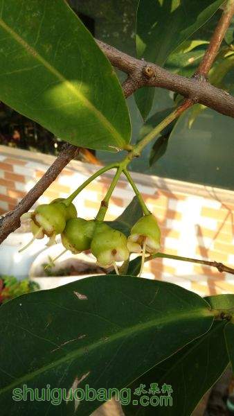 IMG_20150529_070622.jpg