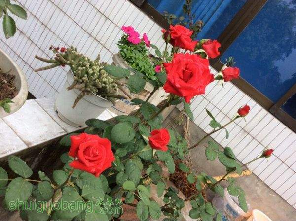 QQͼƬ20150530202905.jpg