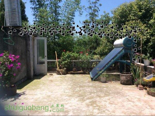 QQͼƬ20150530202930.jpg
