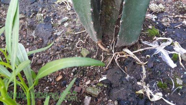20150531_090230.jpg