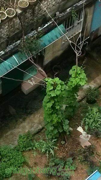 20150531_110817.jpg