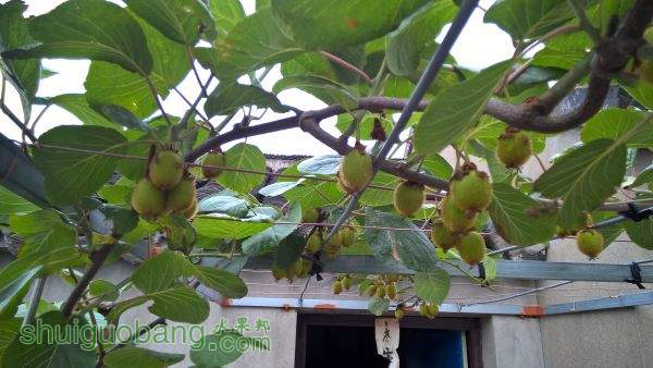 WP_20150530_09_16_50_Pro.jpg