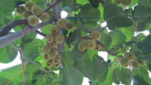 WP_20150530_10_04_11_Pro.jpg
