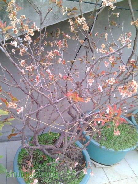 IMG_20150314_173628.jpg
