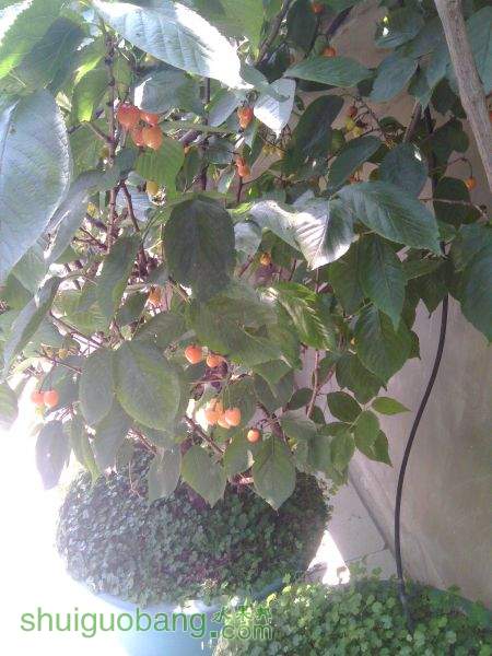 IMG_20150426_104308.jpg