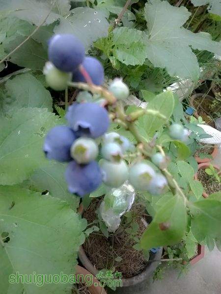 Camera360_2015_6_1_063130.jpg