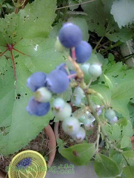 Camera360_2015_6_1_063103.jpg