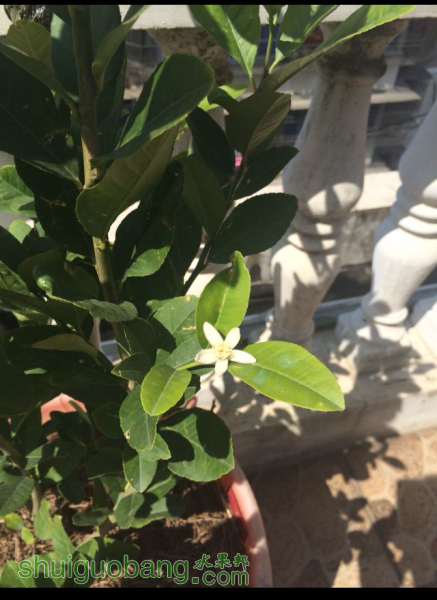 �����Ƕ仨���ˣ������ۻ�
