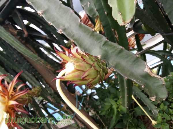20150606_081255.jpg