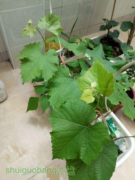 IMG_20150607_115817.jpg
