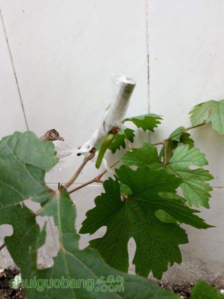 IMG_20150607_115917.jpg