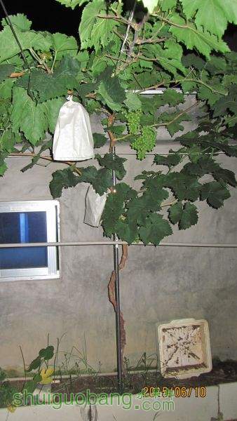 ������ 001.jpg