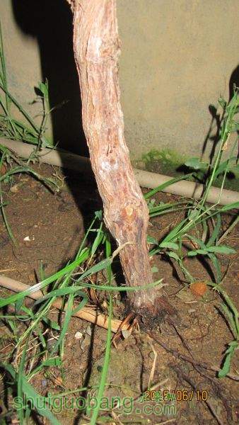 ������ 002.jpg