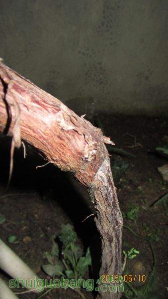 ������ 003.jpg