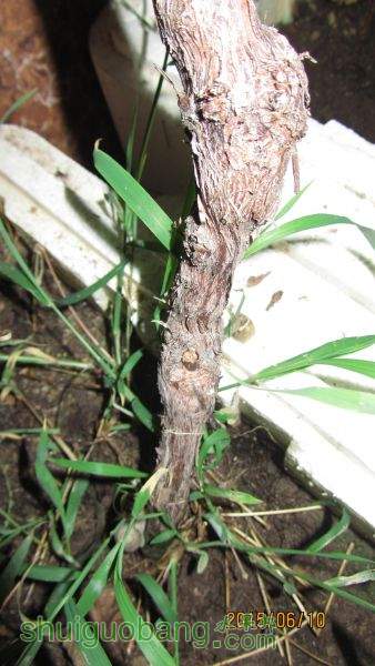 ������ 005.jpg