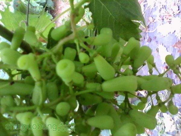 IMG_20150527_064815.jpg