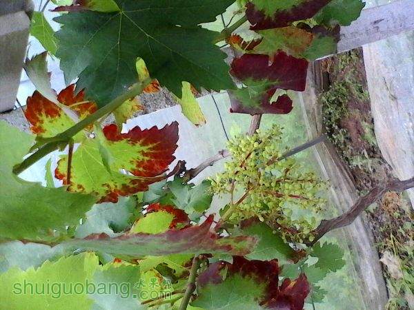 IMG_20150529_132949.jpg