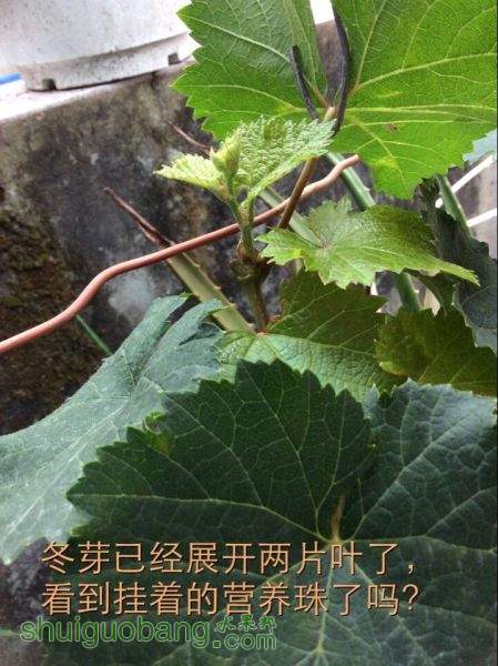 QQͼƬ20150612100849.jpg