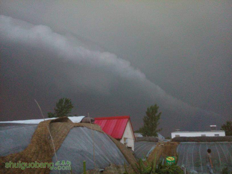 075809ankzega47sma27gk.jpg
