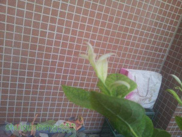 20150613_185524.jpg