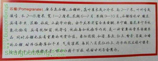 150229lkvf3qe9119y73yf.jpg