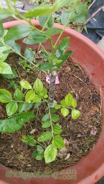 IMG_20150614_085311.jpg