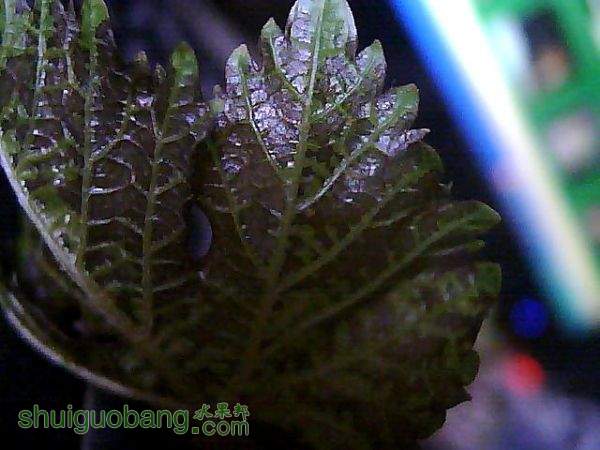 ͼƬ 096.jpg