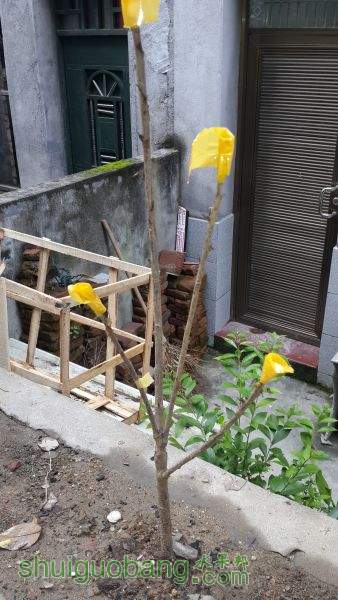20150615_070417.jpg