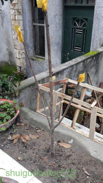 20150615_070441.jpg