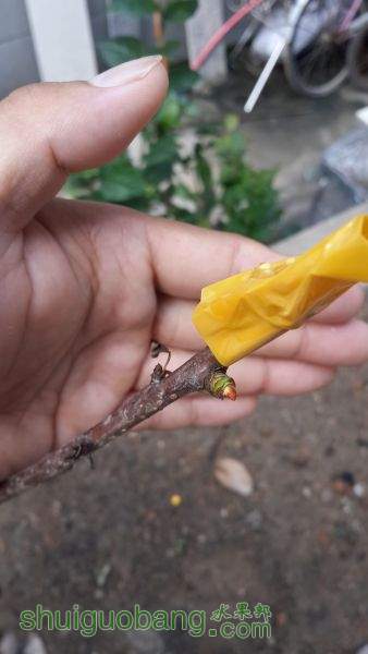 20150615_070736.jpg