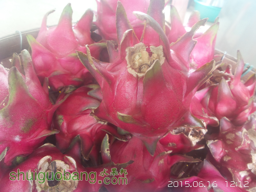 20150616_121220.jpg