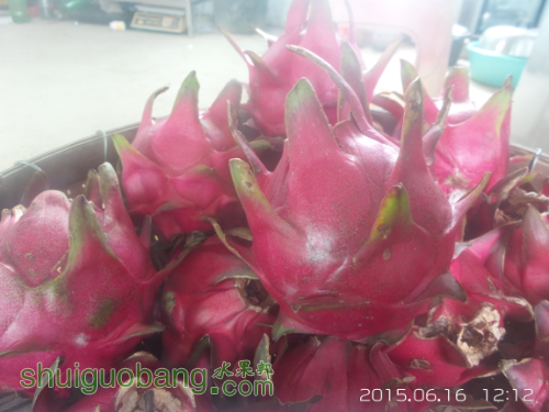 20150616_121207.jpg