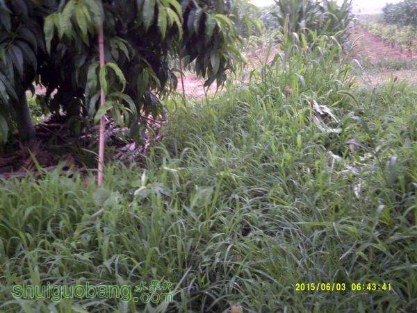 DSCF0008.JPG