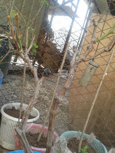 20150617_152520.jpg