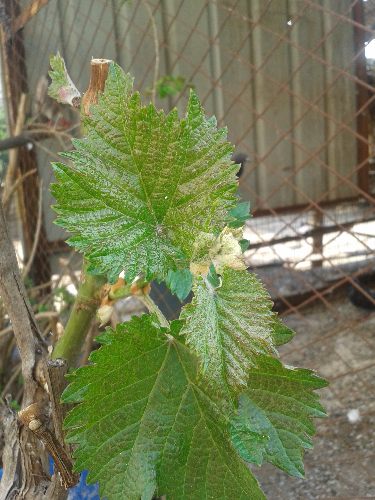 20150617_152527.jpg