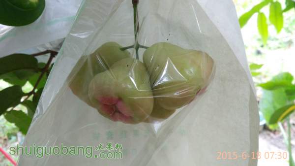 143743ax5mf8iniku1n5nx.jpg