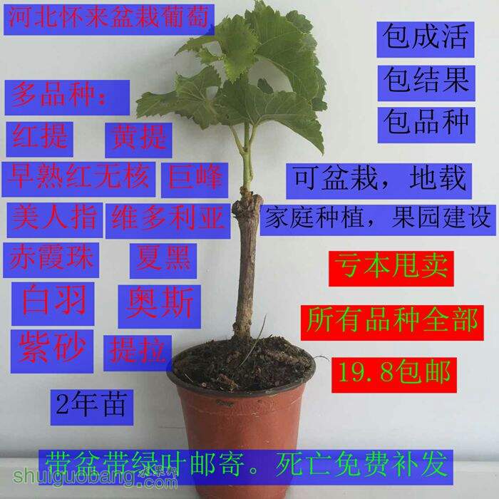173800fuvquvpcczv3vao7.jpg