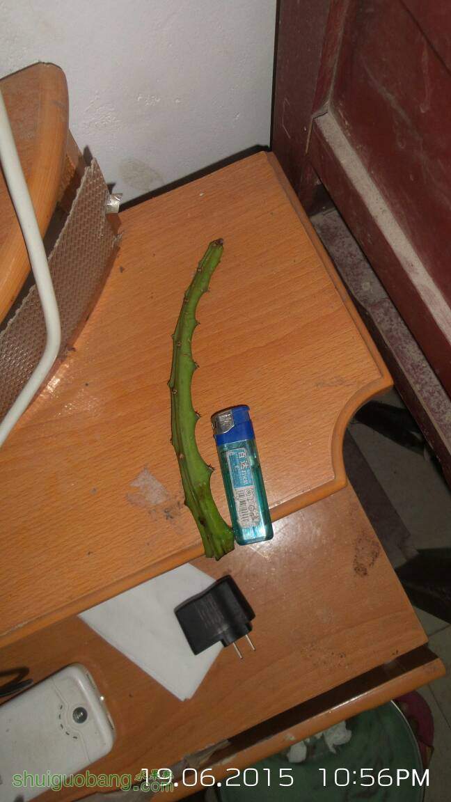 225808agmrbvxw5bppzjbw.jpg
