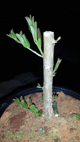20150624_003045.jpg