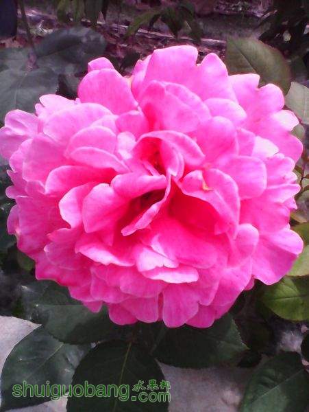 IMG_20150517_105911.jpg