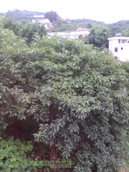 IMG_20150606_102645_0.jpg