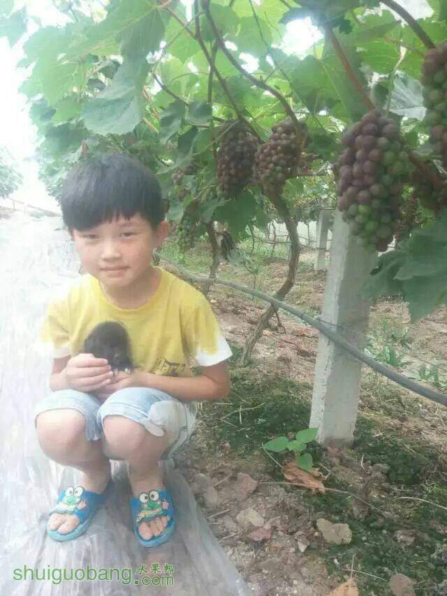 095028yykobw4kb1kktonb.jpg