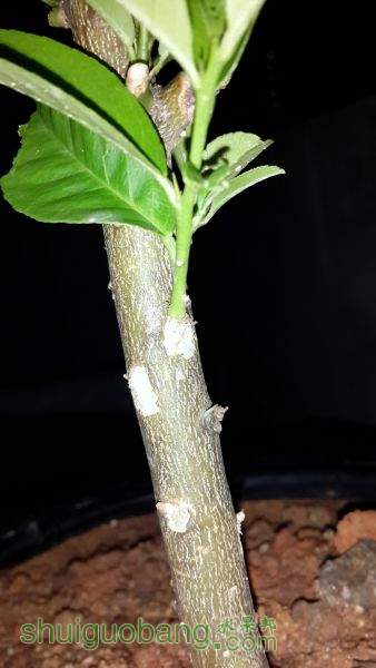 20150626_223429.jpg