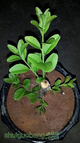 20150628_000717.jpg