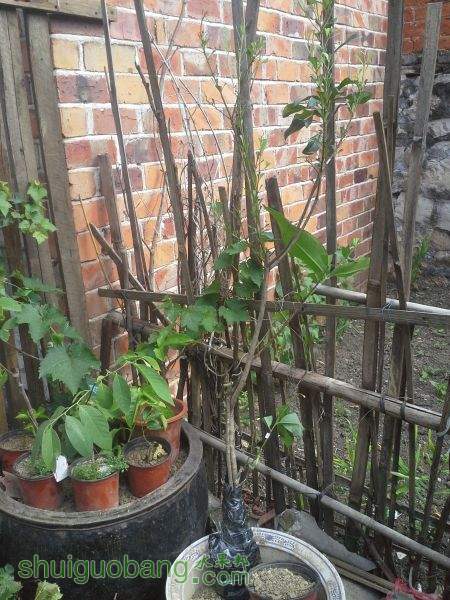 20150628_161713.jpg