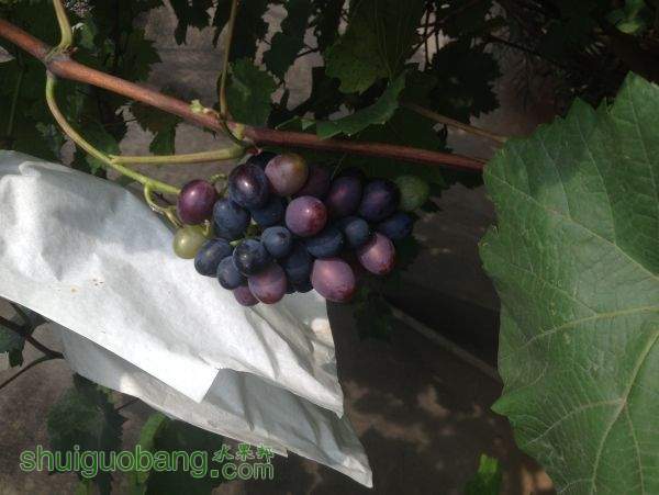 2015-06-28 093404.jpg